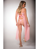 Pinklicious Empire Waist, Lace & Sheer Dress & Panty Baby Pink O/S