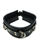 Rouge Leather Padded 3 D Ring Collar - Black